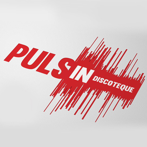 Puls IN logo